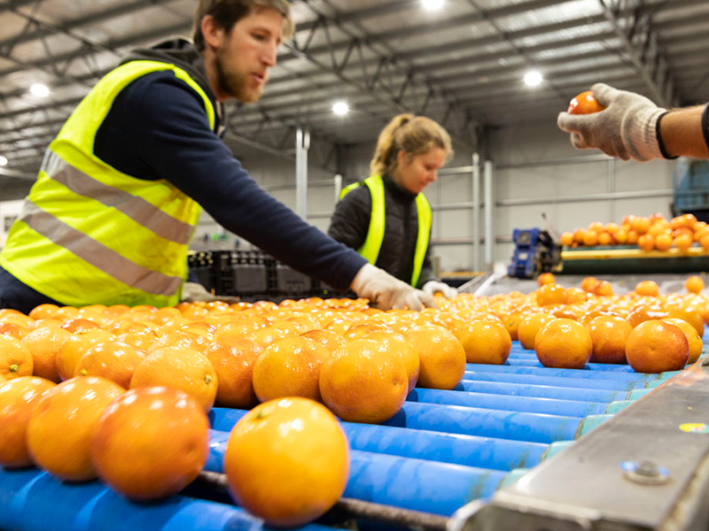 Our Facility | NVP | Citrus Exporter Australia